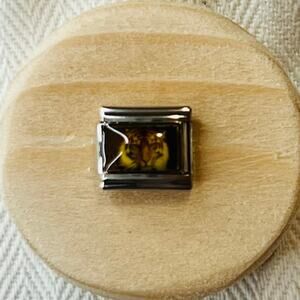 Tiger Italian Charm Bracelet Link